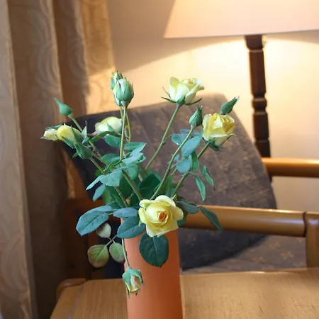 Отель Ea Jasmin